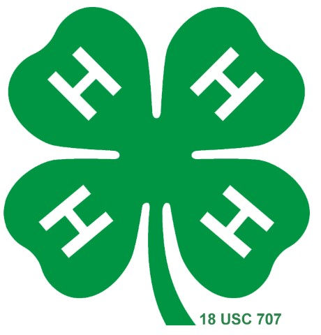 4-H clover