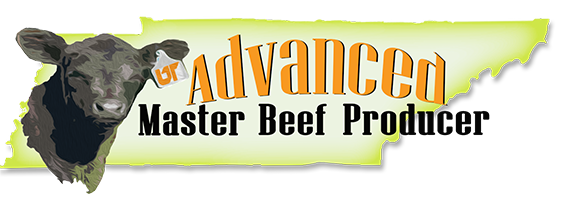 Advanced Master Beef Producer Logo