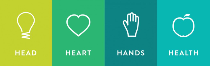 Head, Heart, Hands, Health 4-H Image